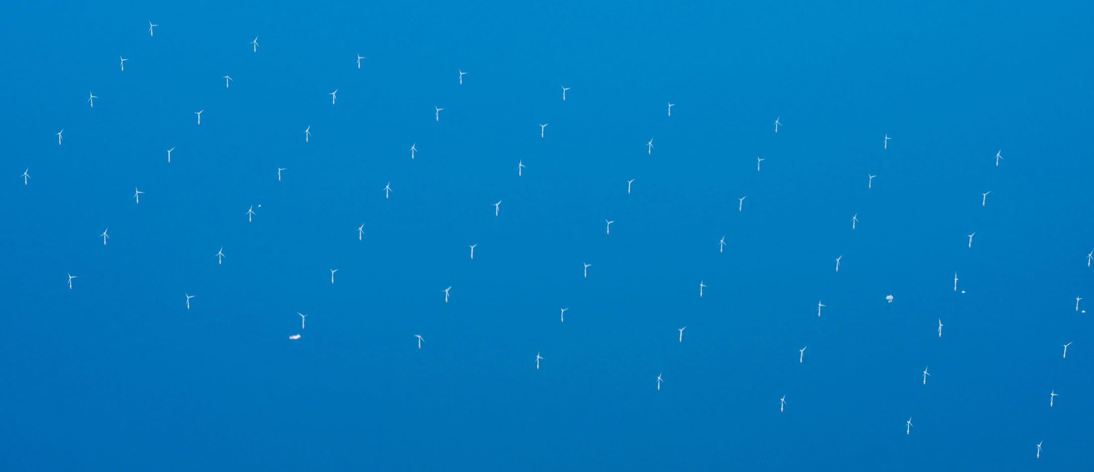 Offshore Wind Potential New Leasing