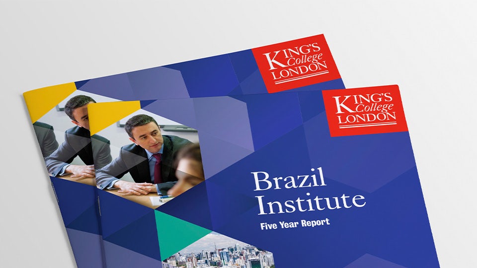 Brazil Institute 5 Year Report